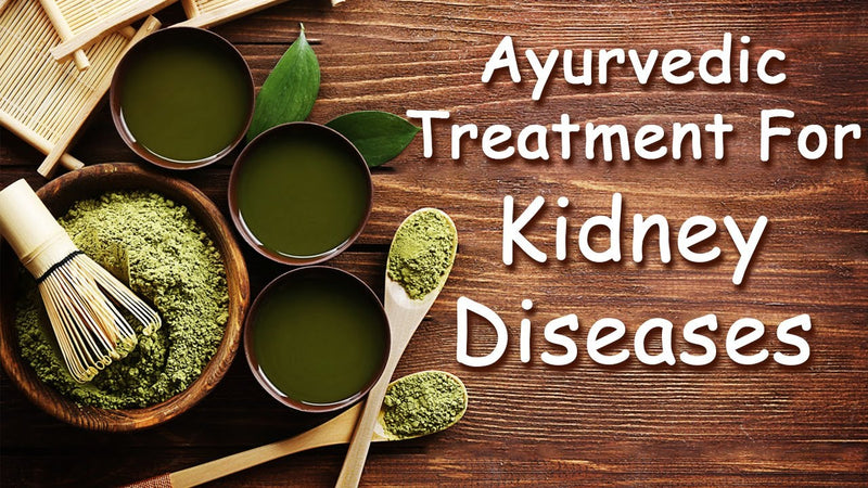 Renew Your Wellbeing: Exploring the Wonders of Ayurvedic Kidney Treatment