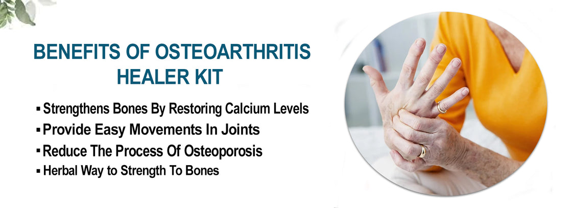 Osteoporosis Healer Kit