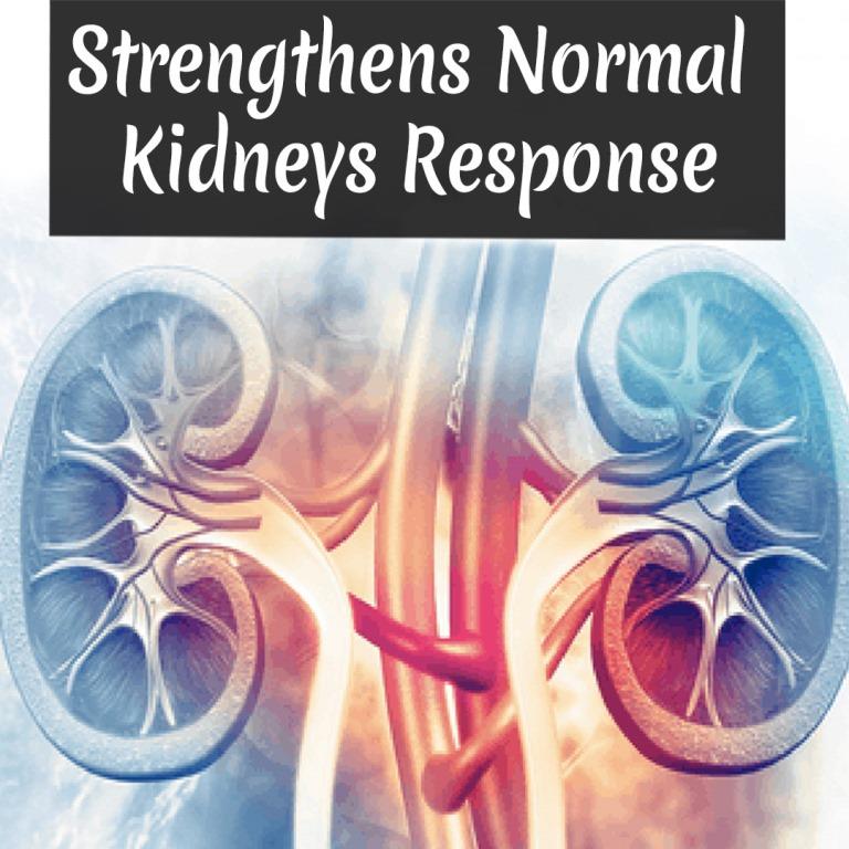 Renal Stones Ayurvedic Treatment Ayurveda Yogashram Ayurvedayogashram