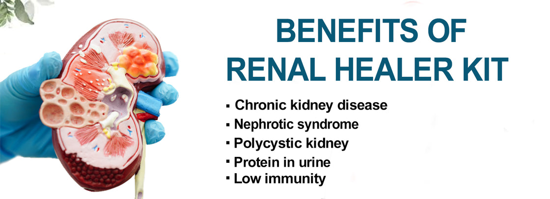 Renal Care Kit