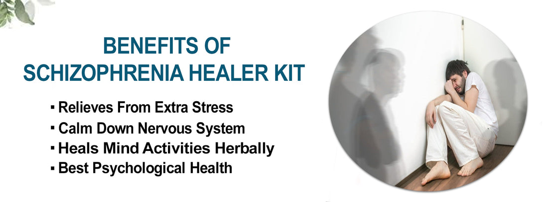 Schizophrenia Healer Kit