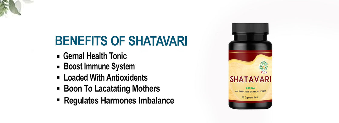 Shatavari