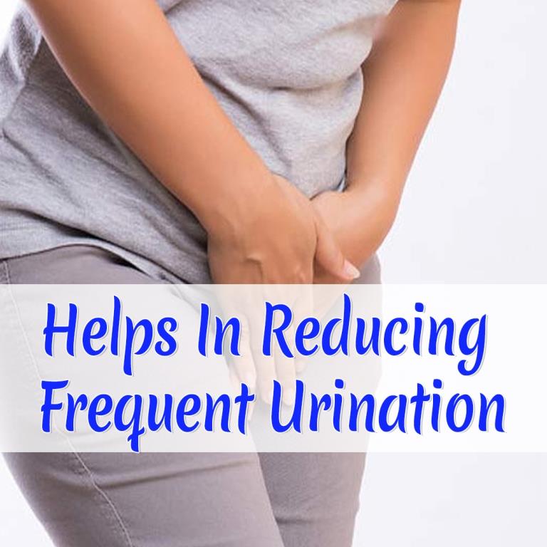 Ayurveda Yogashram Natural Solutions for Urinary Tract Infection Ayurvedayogashram