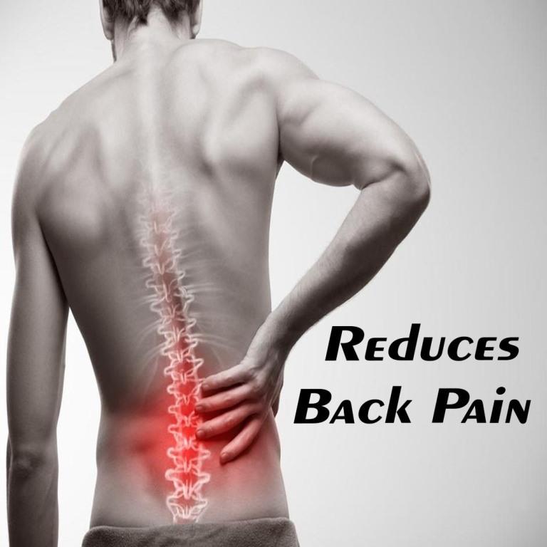 Back Pain Healer Kit