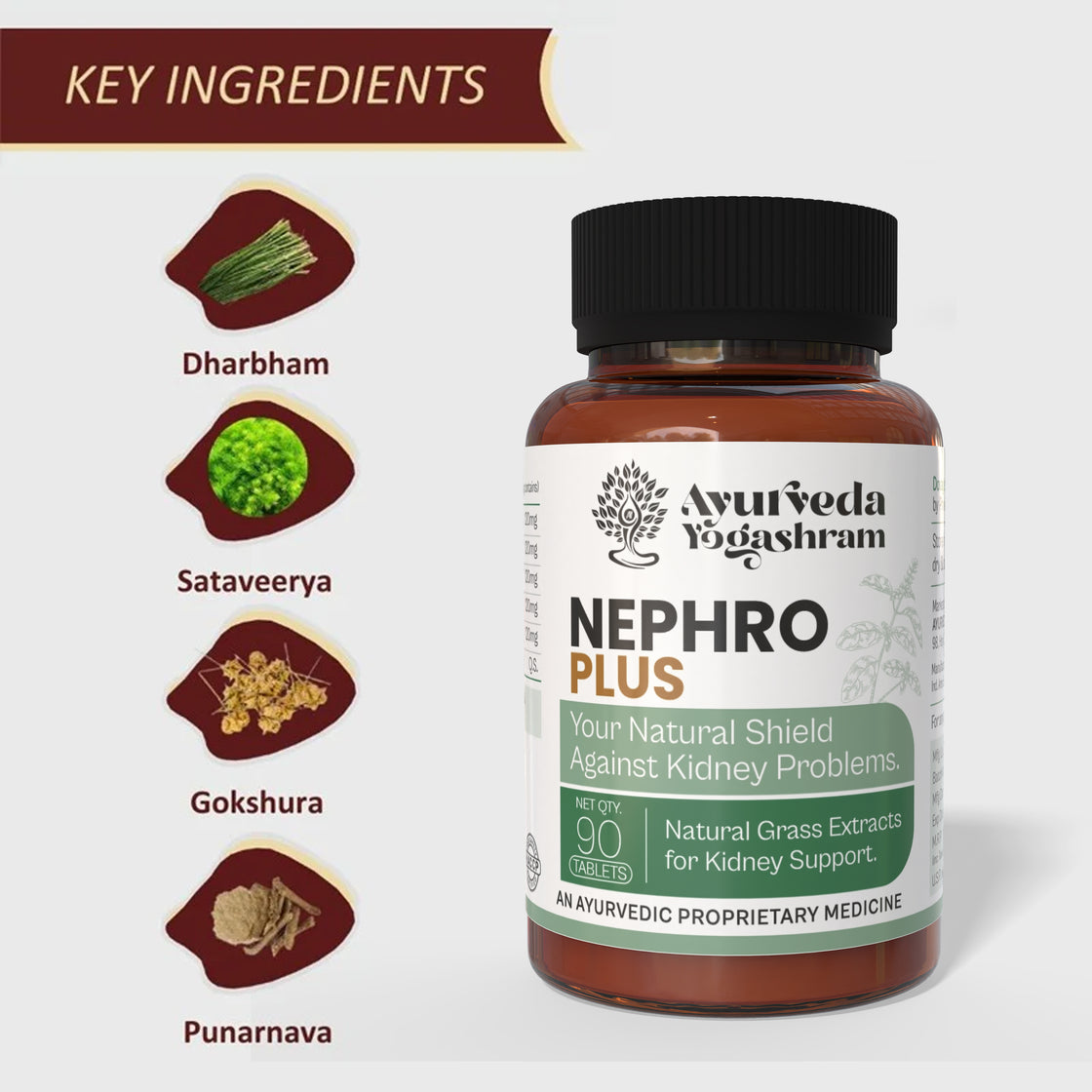 Nephro Plus